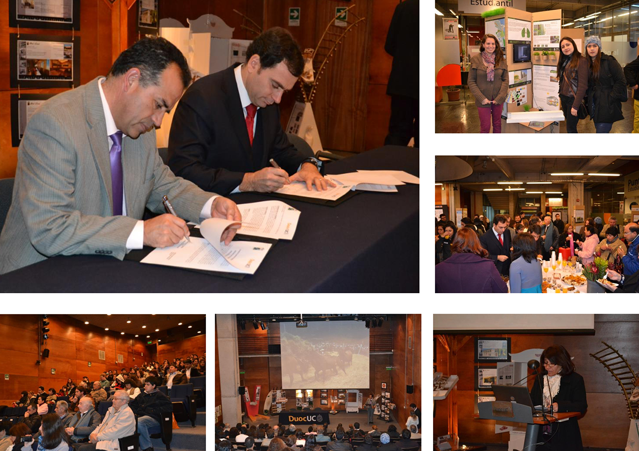 Diseño Pichilemu: + 70 Proyectos para Empresarios Locales