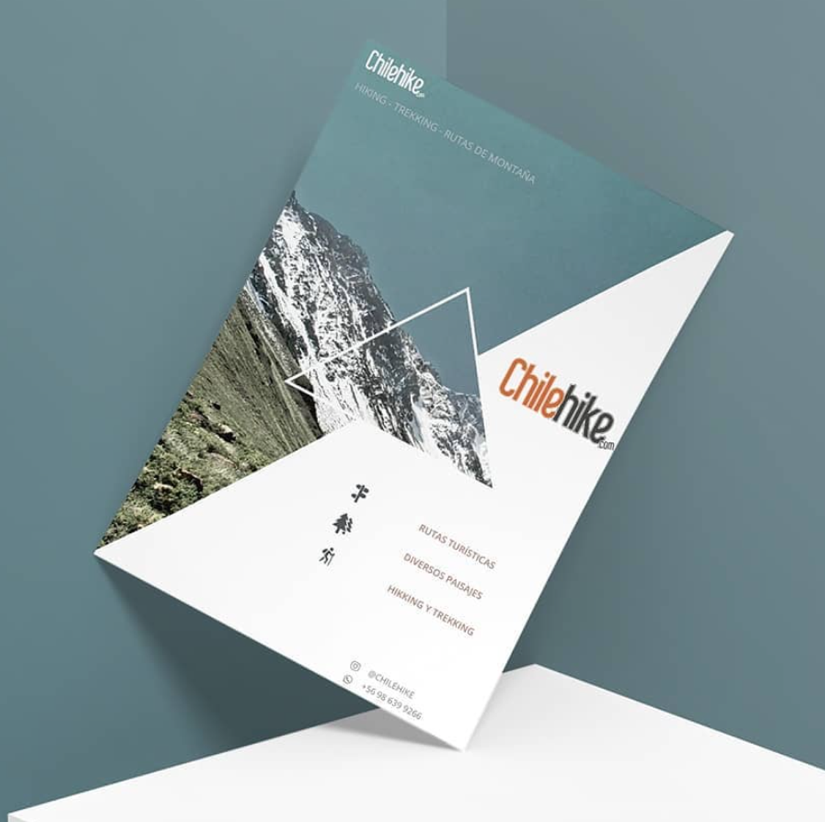 EXPO Diseño Profesional 2021