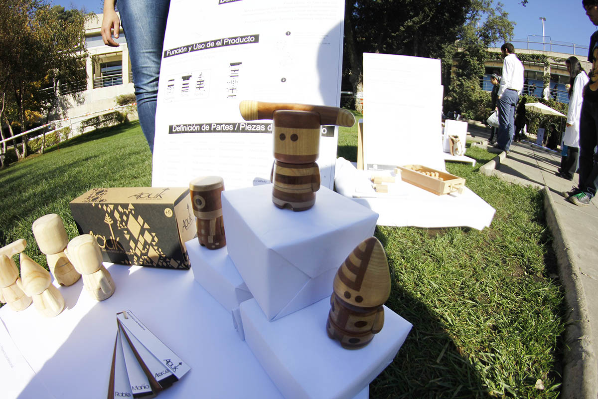 Diseño y Desarrollo de Juguetes con Maderas Nativas