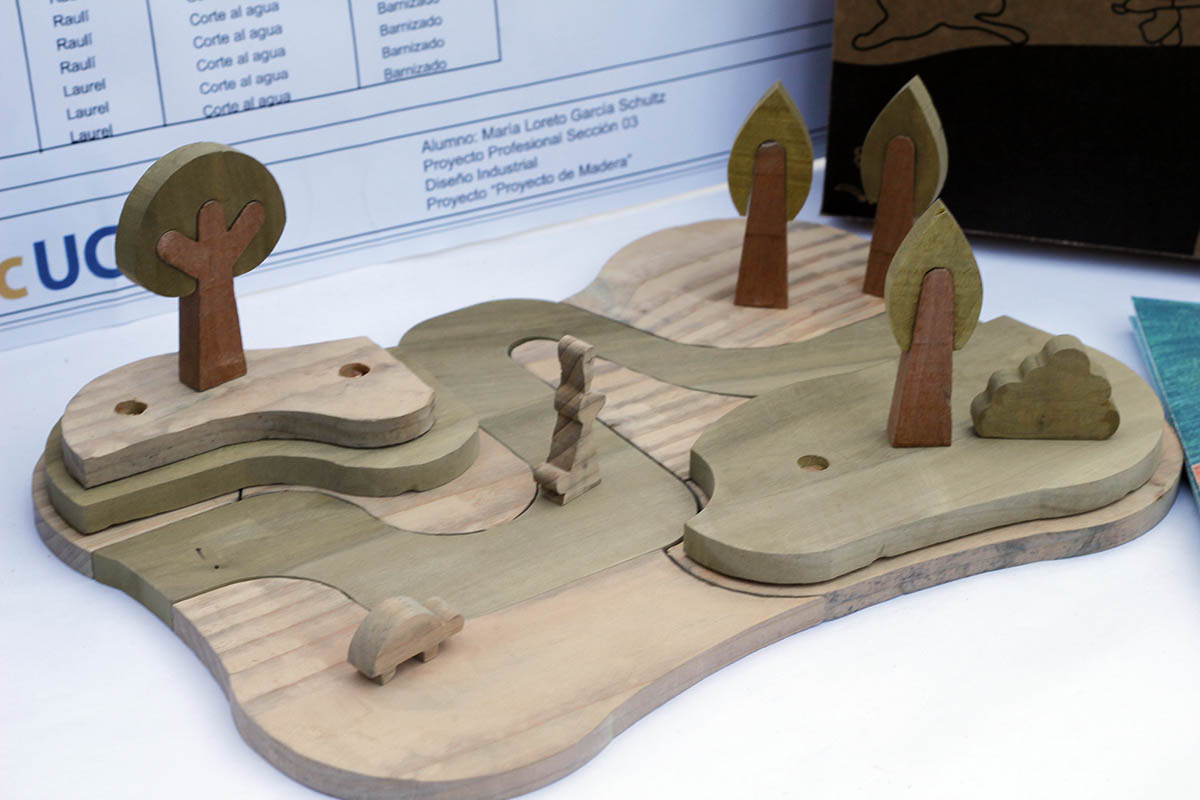 Diseño y Desarrollo de Juguetes con Maderas Nativas