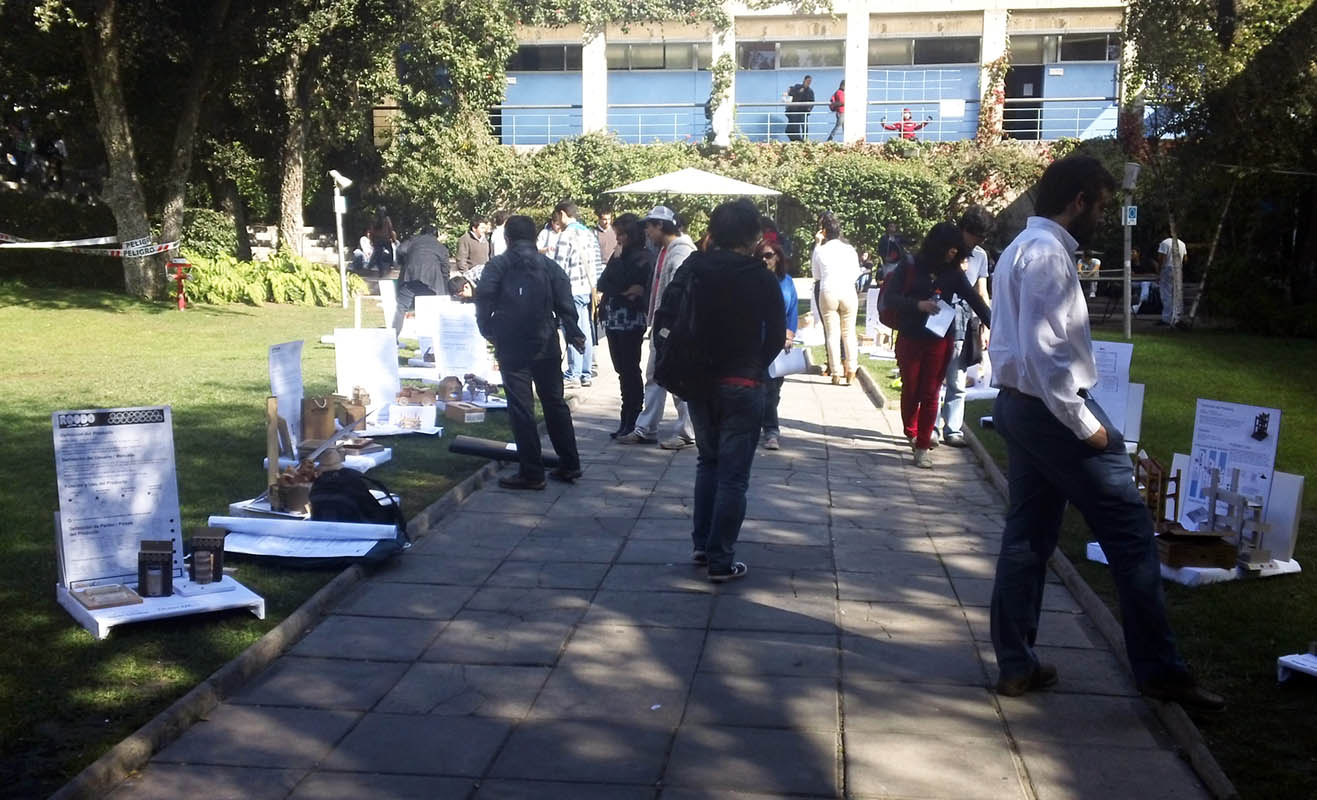 Diseño y Desarrollo de Juguetes con Maderas Nativas