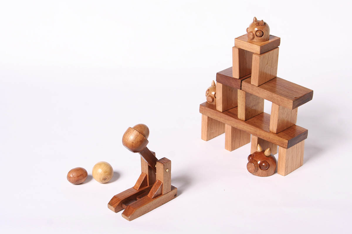 Diseño y Desarrollo de Juguetes con Maderas Nativas