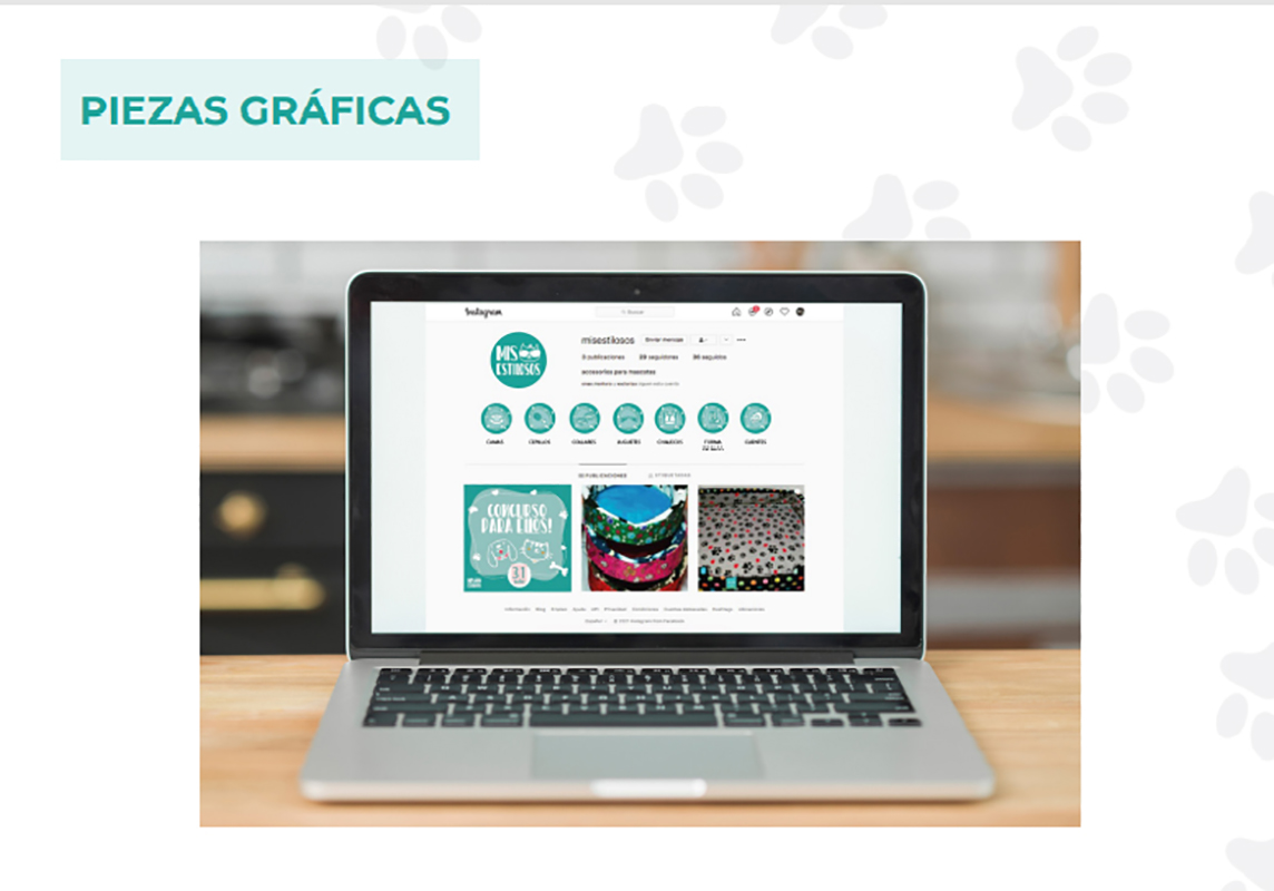 Potencia tu Marca (Emprendedores Puente Alto)