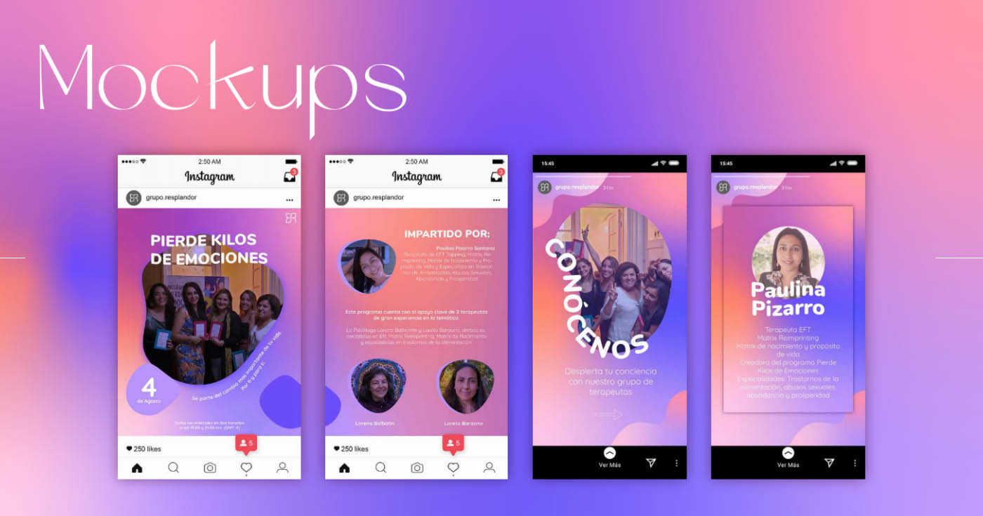 Proyecto Profesional (Sercotec)