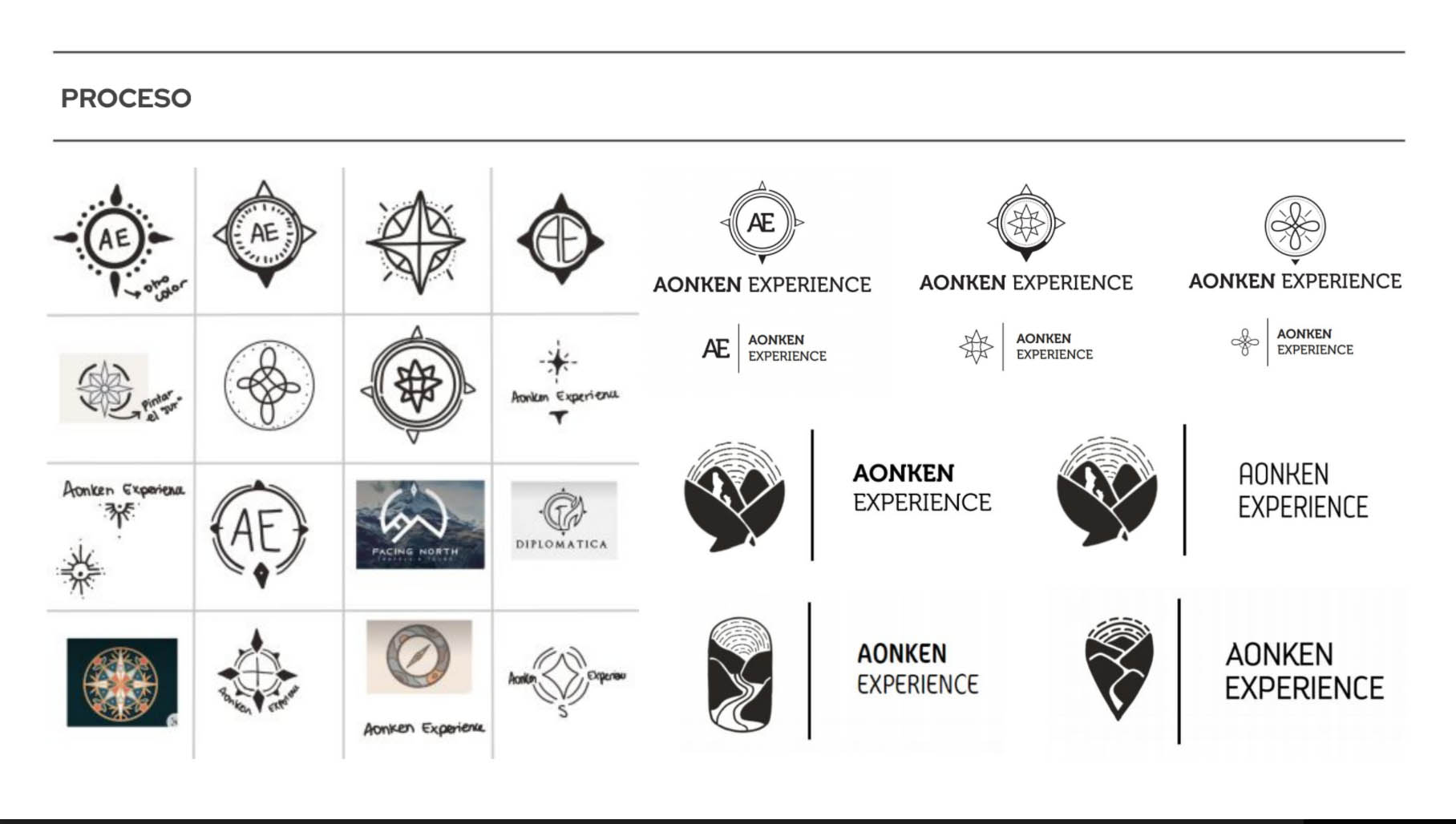 Proyecto Profesional (Sercotec)
