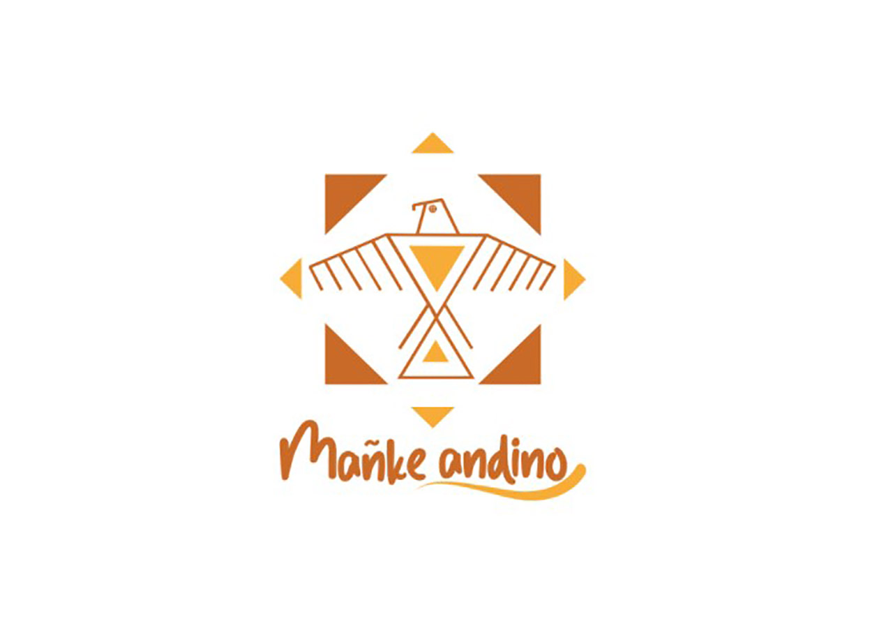 Desarrollo Marca para Proyecto Manos Puentealtinas