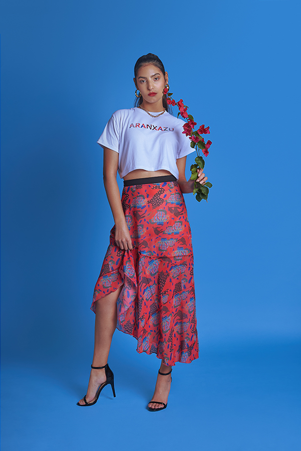 Desarrollo Colección Aranxazu Llorente