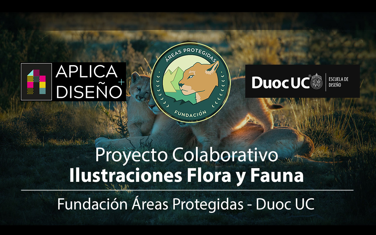 Ilustraciones Flora y Fauna – Fundación Áreas Protegidas