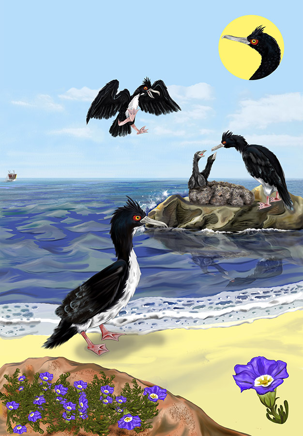 Ilustraciones Flora y Fauna – Fundación Áreas Protegidas