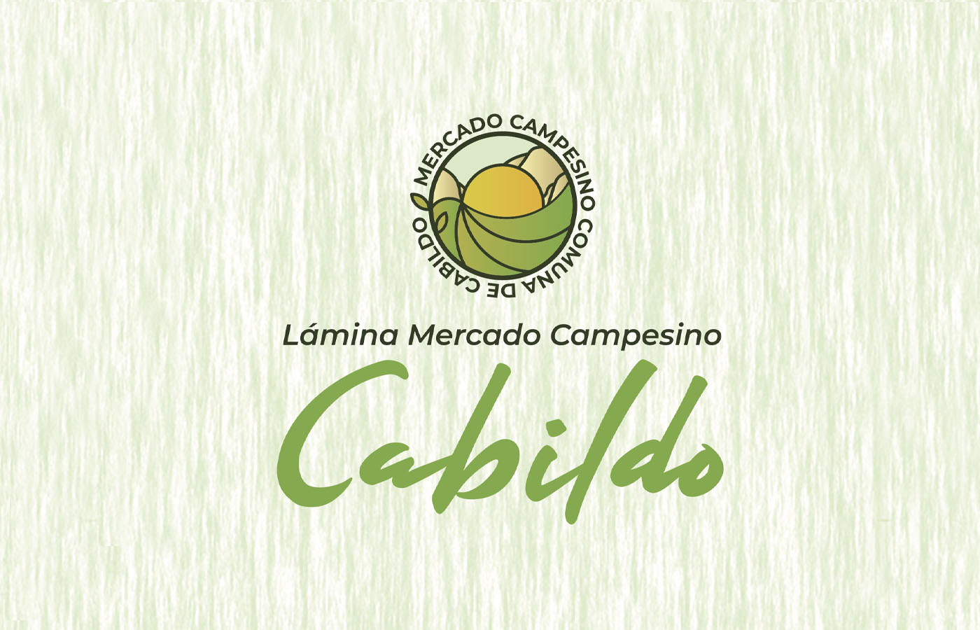 Mercado Campesino Cabildo y Feria Actívate (Servicio País)