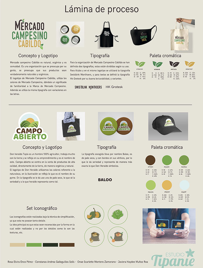 Mercado Campesino Cabildo y Feria Actívate (Servicio País)