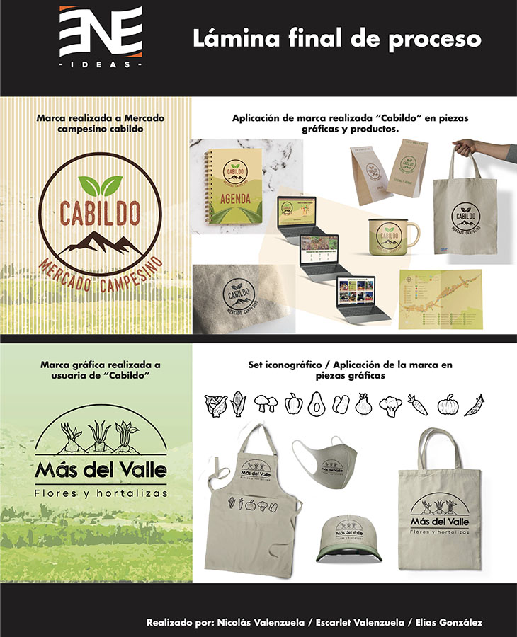 Mercado Campesino Cabildo y Feria Actívate (Servicio País)