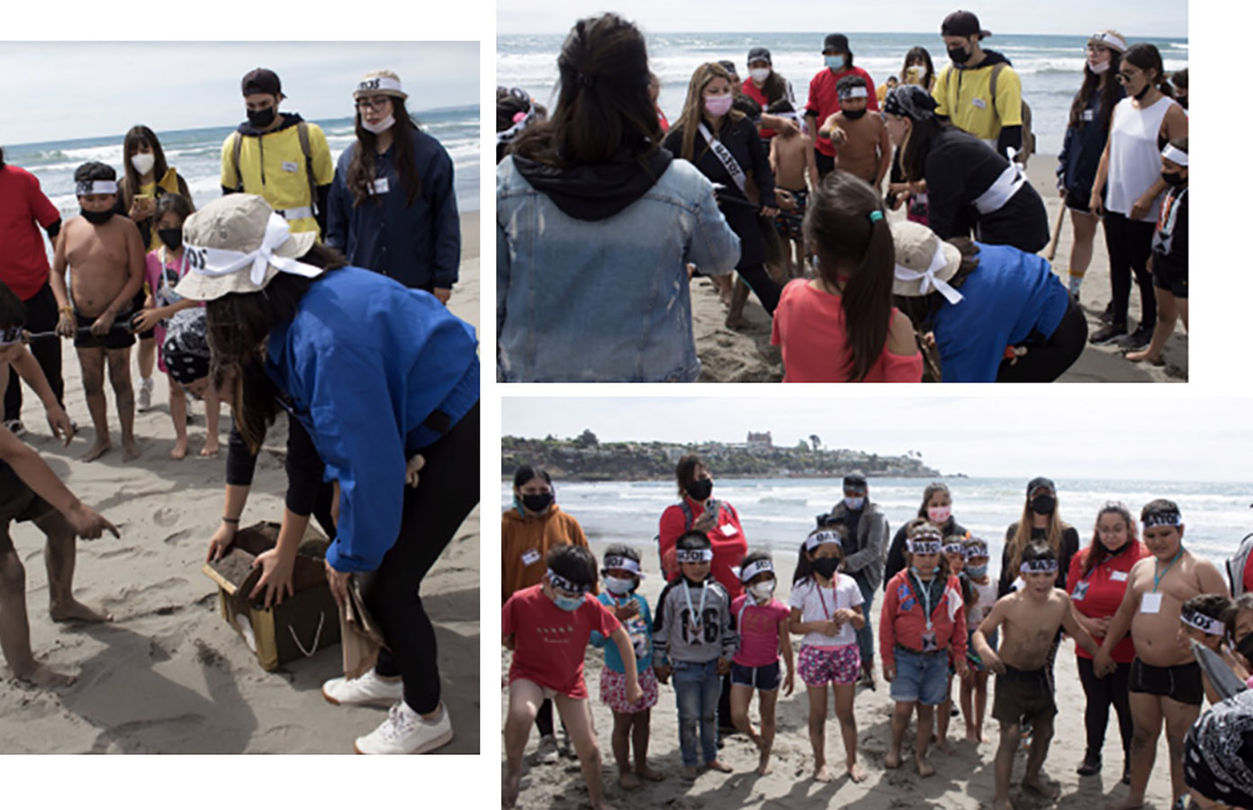 Diseño Experiencias Turísticas Regenerativas (ONG Hogar de Menores)