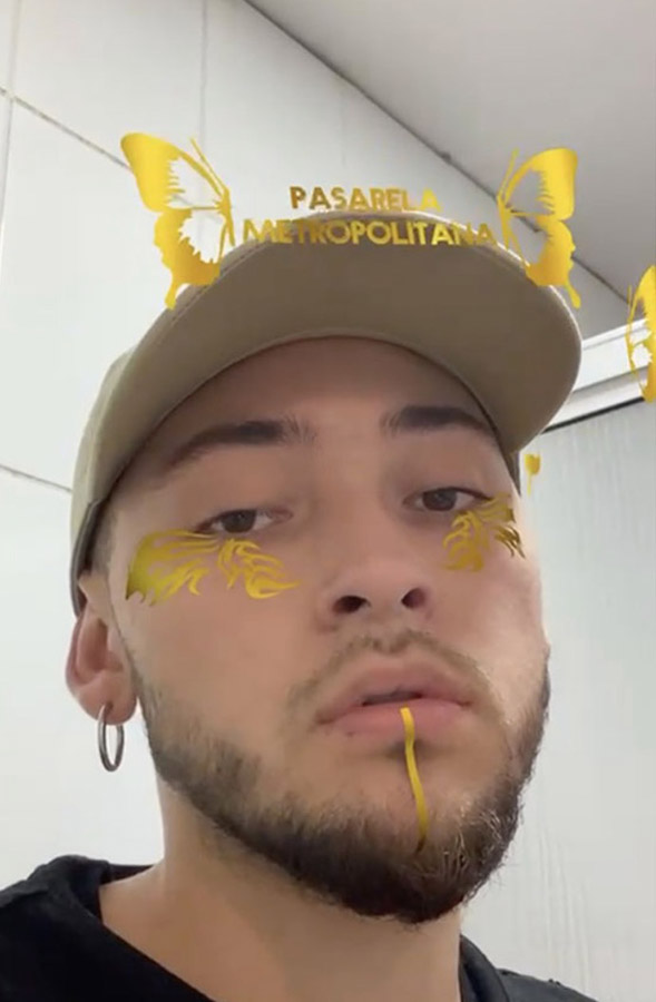 Ambientación para Pasarela Metropolitana