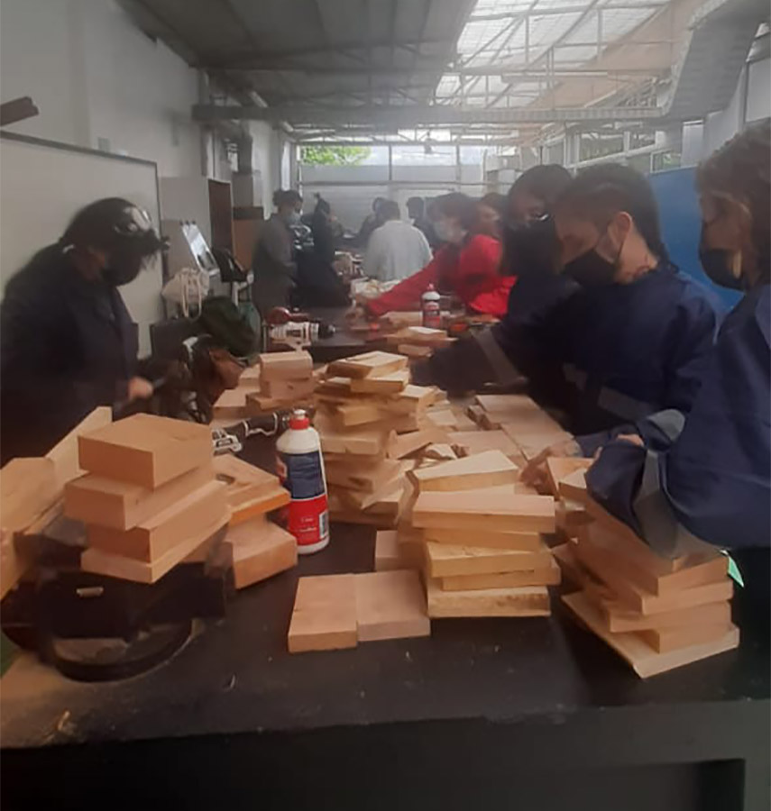 Colección Accesorios VETAZUL