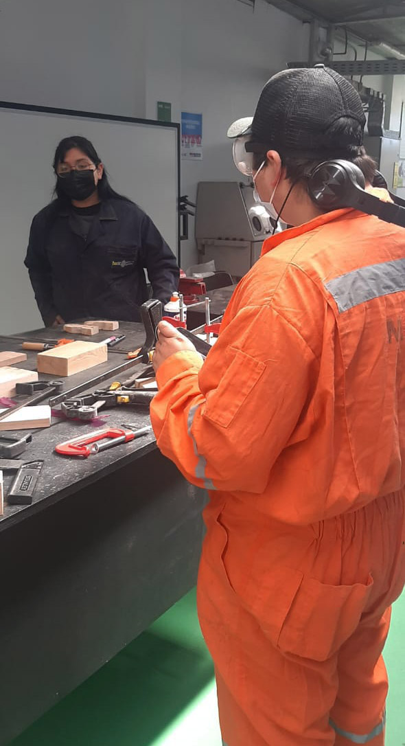 Colección Accesorios VETAZUL