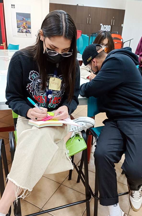 Workshop Design Critique – Electrolux