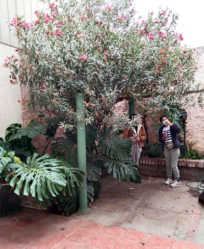 Propuesta Espacio Comercial en Ex Oficinas San Joaquín