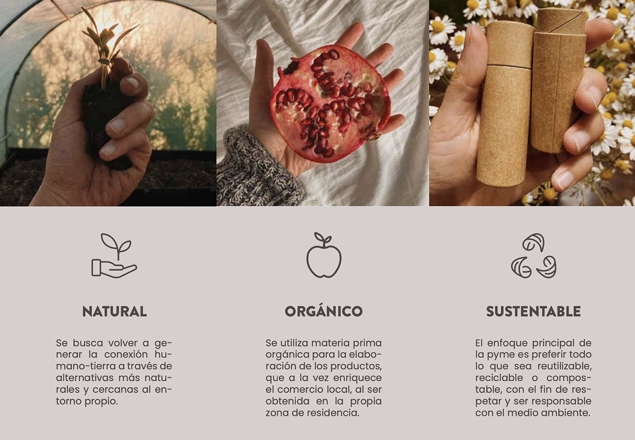 PROYECTO PROFESIONAL – Trabajo Colaborativo con Clientes Reales Autogestionados