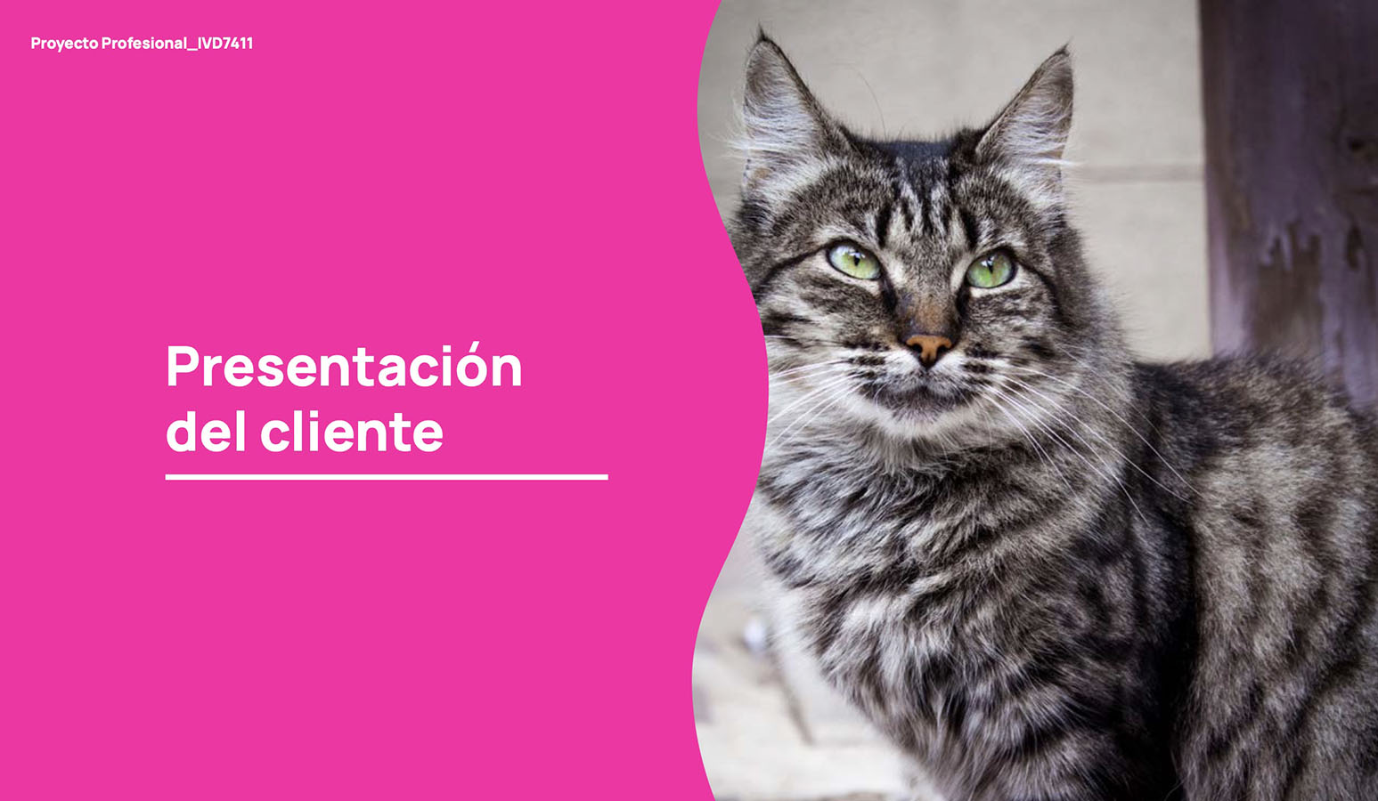 PROYECTO PROFESIONAL – Trabajo Colaborativo con Clientes Reales Autogestionados