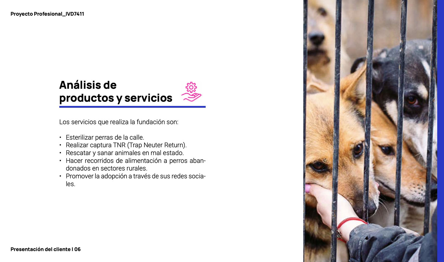 PROYECTO PROFESIONAL – Trabajo Colaborativo con Clientes Reales Autogestionados