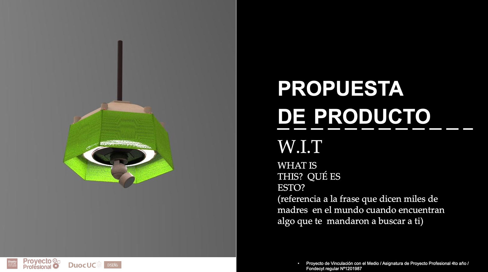 Nuevos Productos para Adultos Mayores en Chile (FONDECYT)