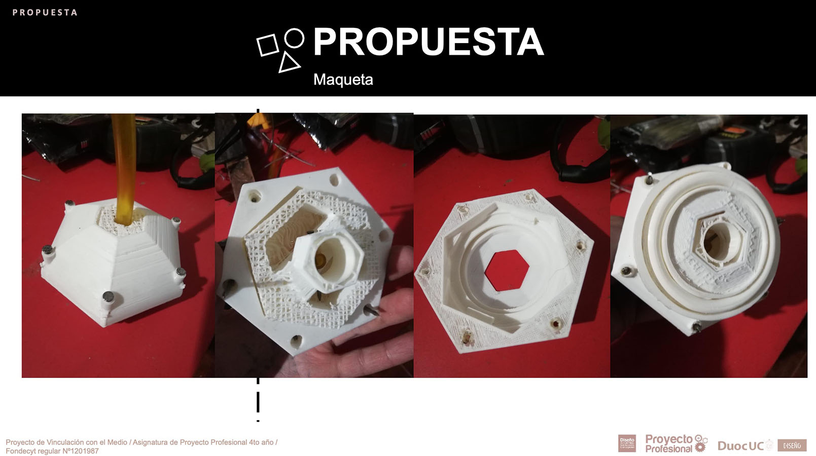 Nuevos Productos para Adultos Mayores en Chile (FONDECYT)