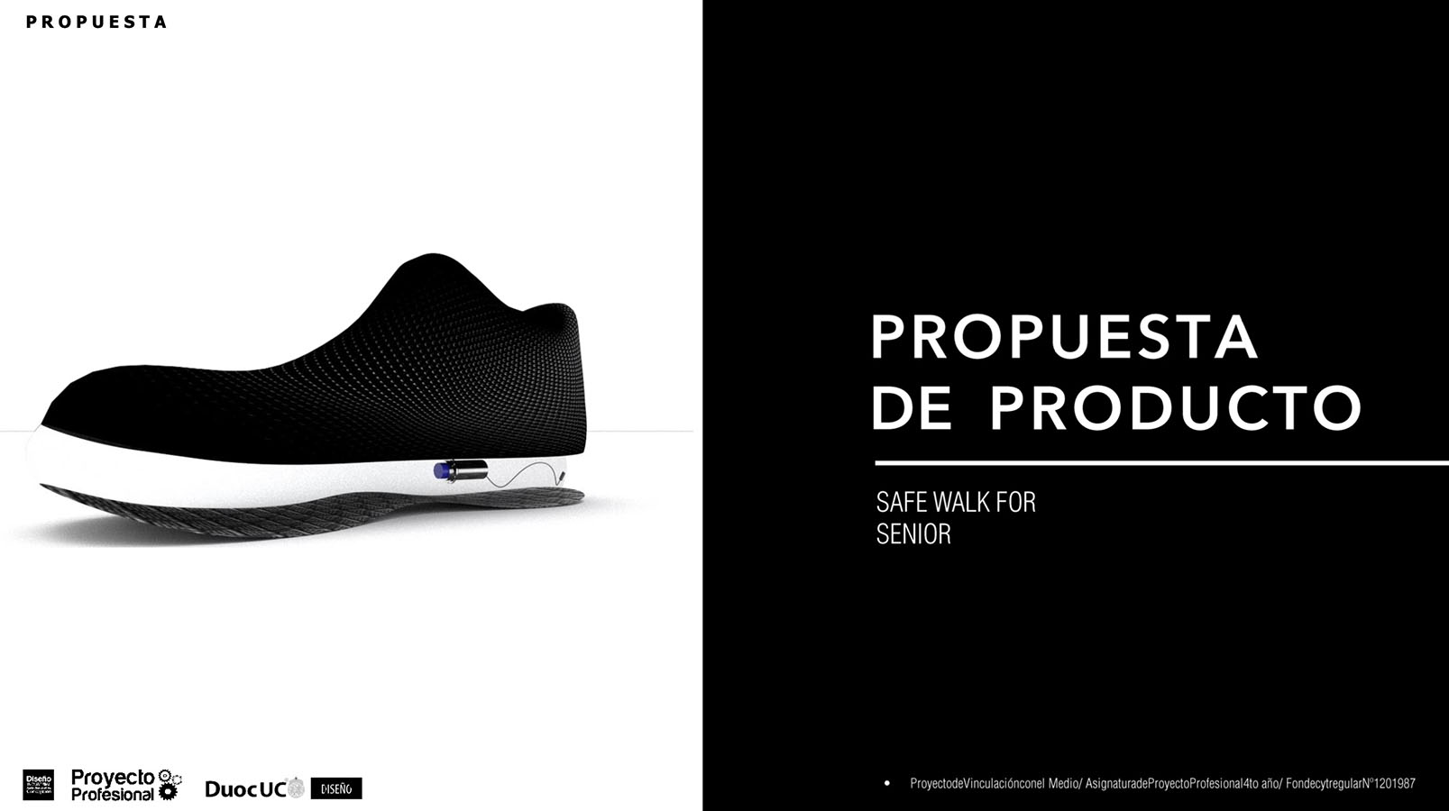 Nuevos Productos para Adultos Mayores en Chile (FONDECYT)