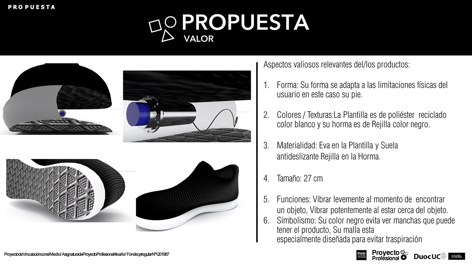 Nuevos Productos para Adultos Mayores en Chile (FONDECYT)