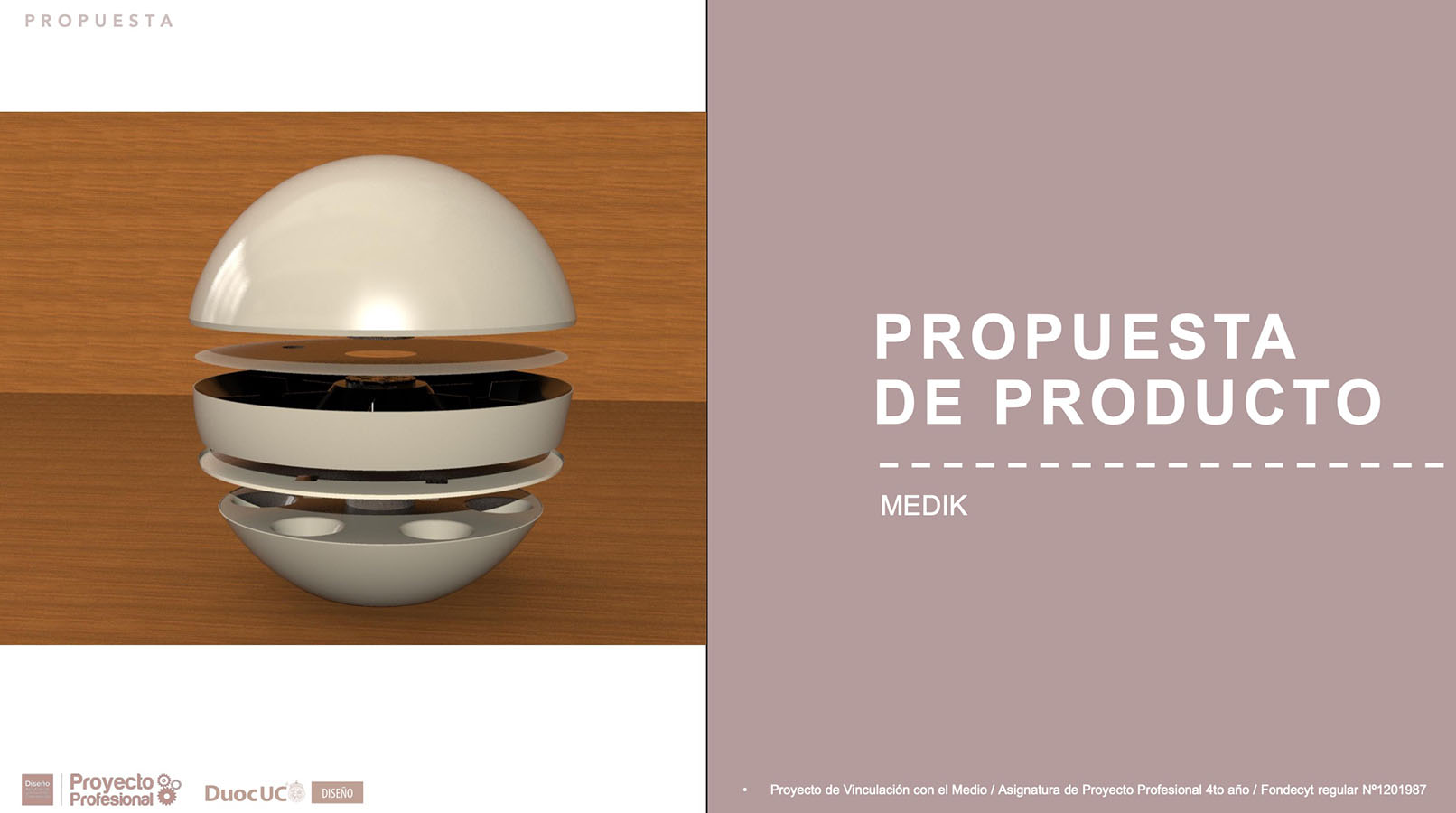 Nuevos Productos para Adultos Mayores en Chile (FONDECYT)