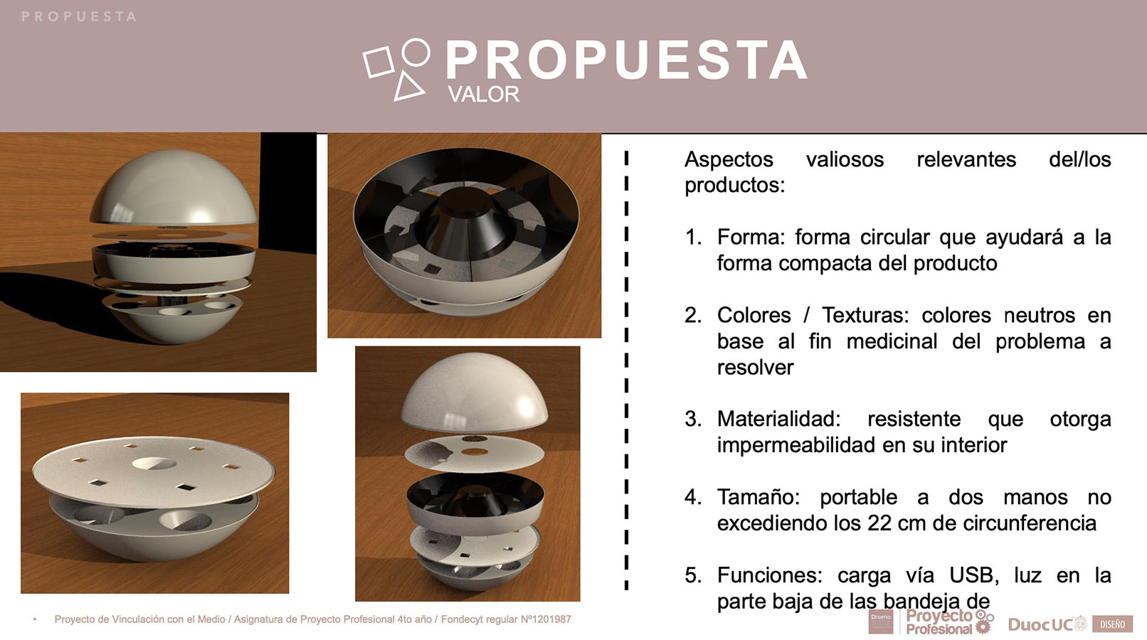 Nuevos Productos para Adultos Mayores en Chile (FONDECYT)