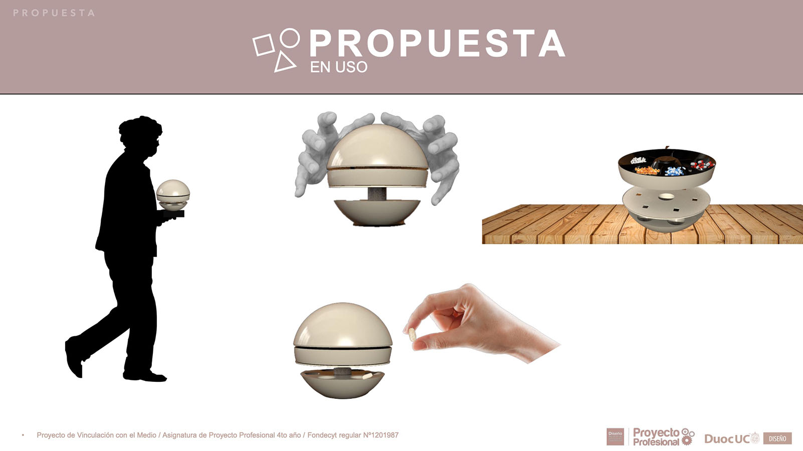 Nuevos Productos para Adultos Mayores en Chile (FONDECYT)