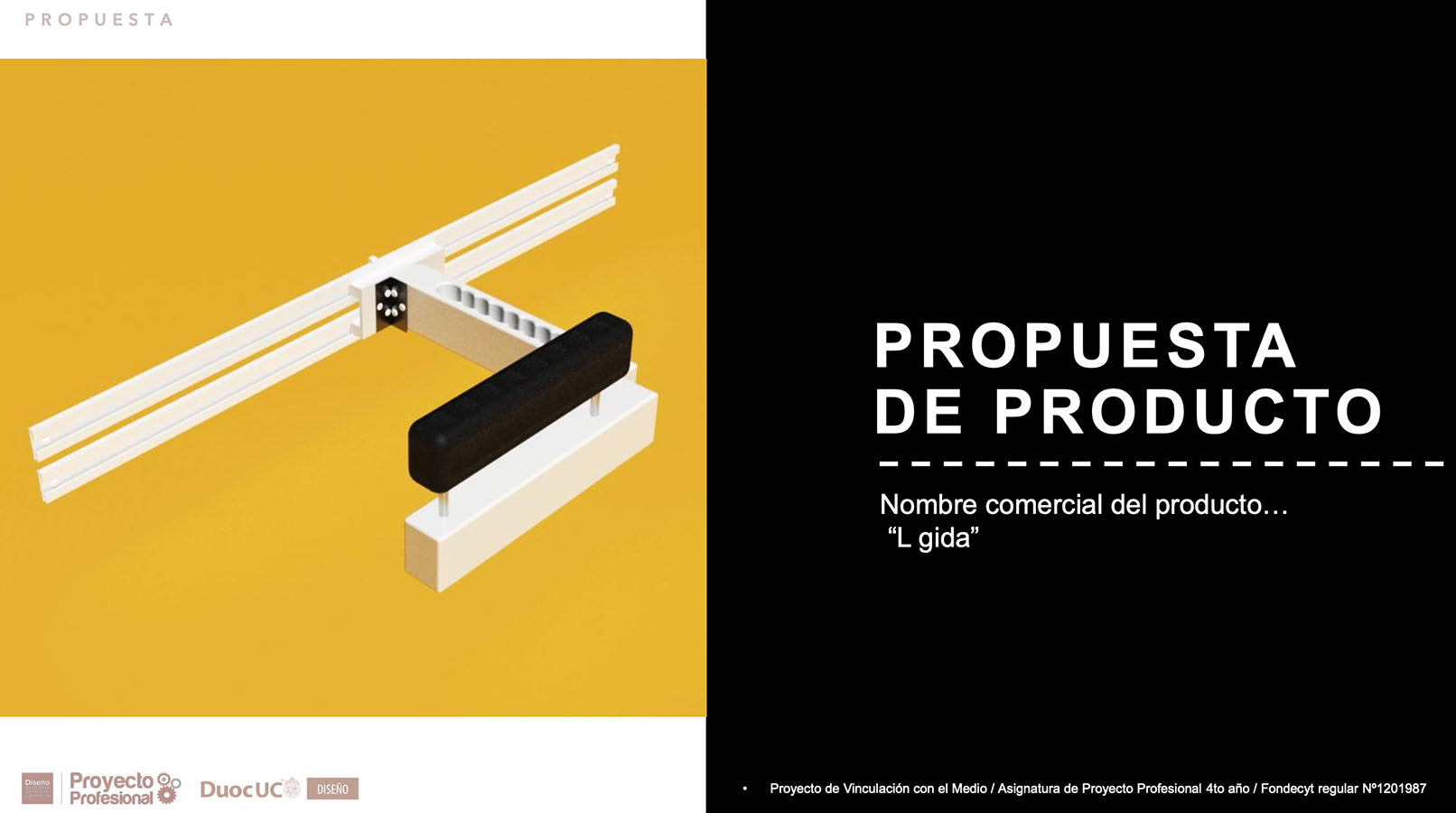 Nuevos Productos para Adultos Mayores en Chile (FONDECYT)