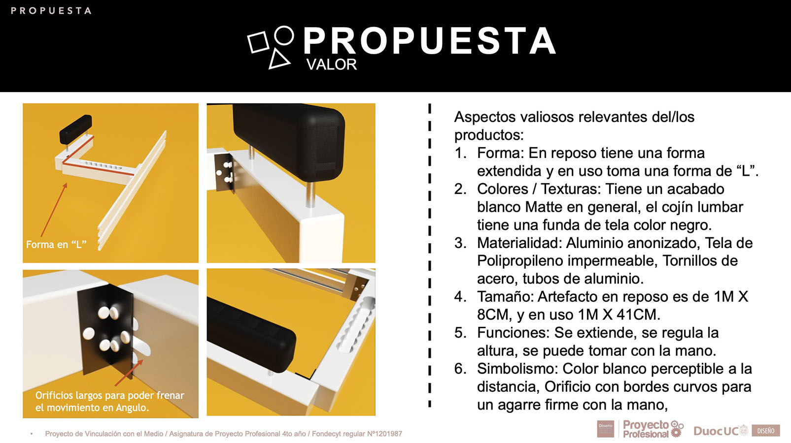 Nuevos Productos para Adultos Mayores en Chile (FONDECYT)