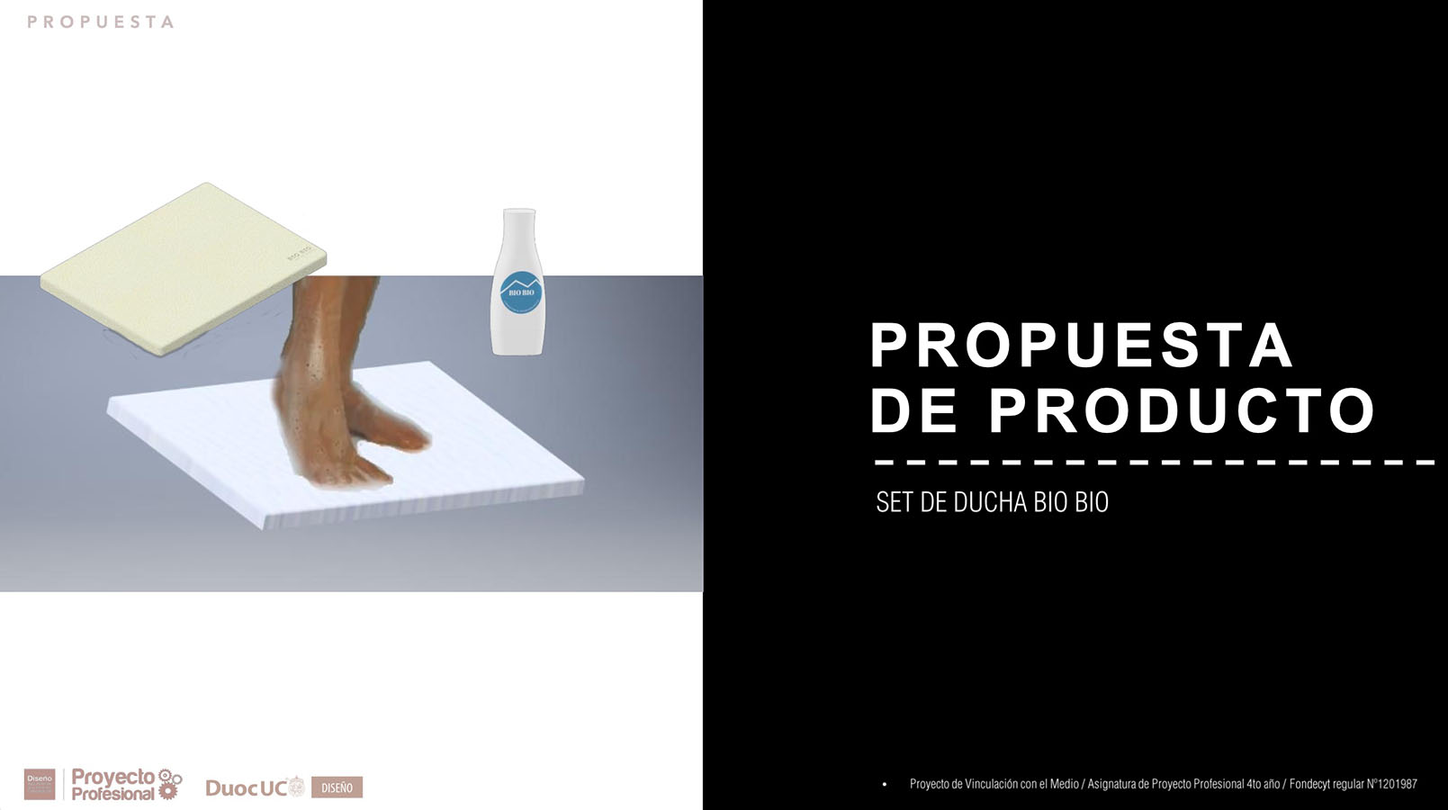 Nuevos Productos para Adultos Mayores en Chile (FONDECYT)