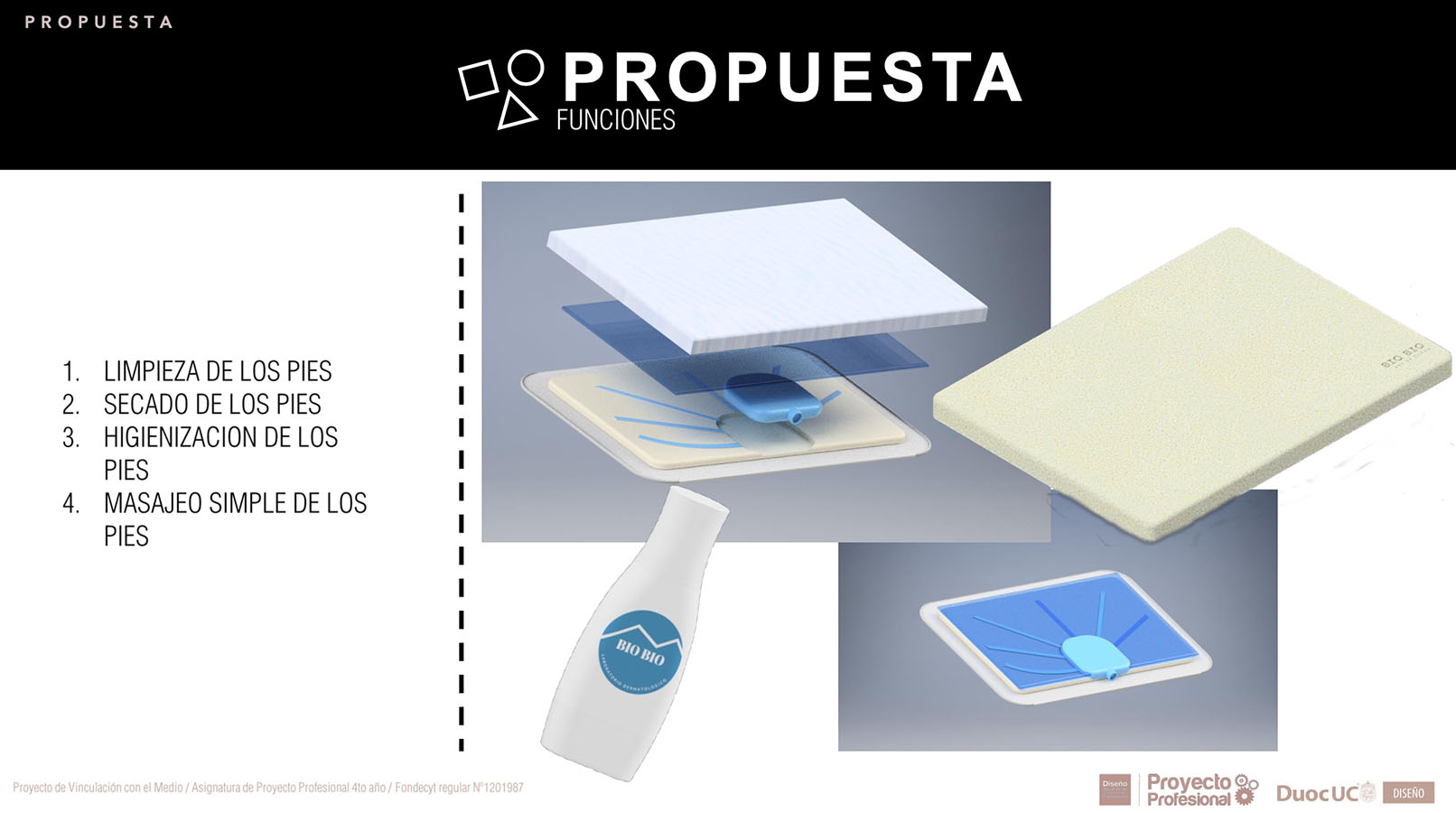 Nuevos Productos para Adultos Mayores en Chile (FONDECYT)