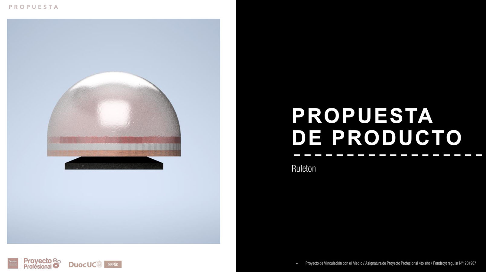 Nuevos Productos para Adultos Mayores en Chile (FONDECYT)