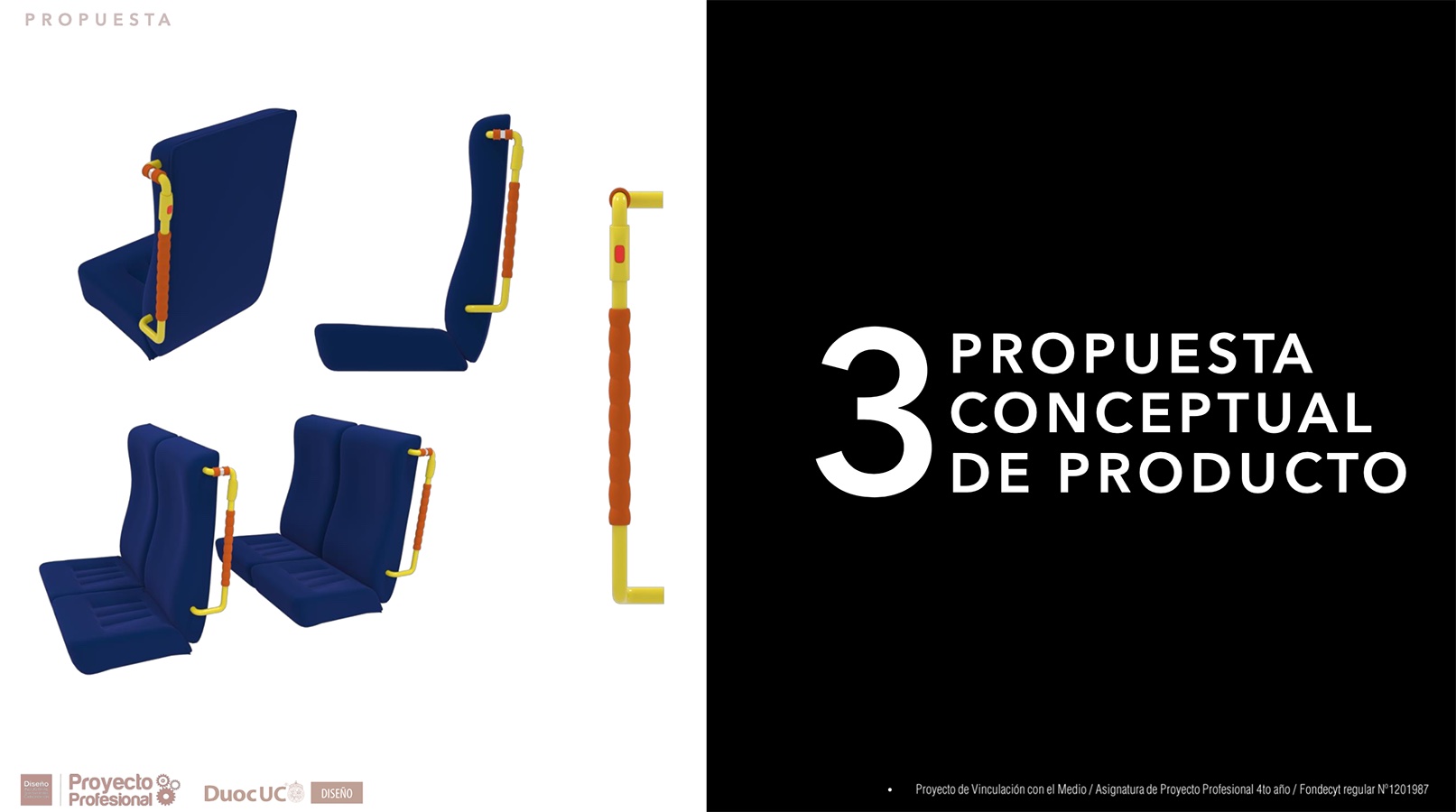 Nuevos Productos para Adultos Mayores en Chile (FONDECYT)