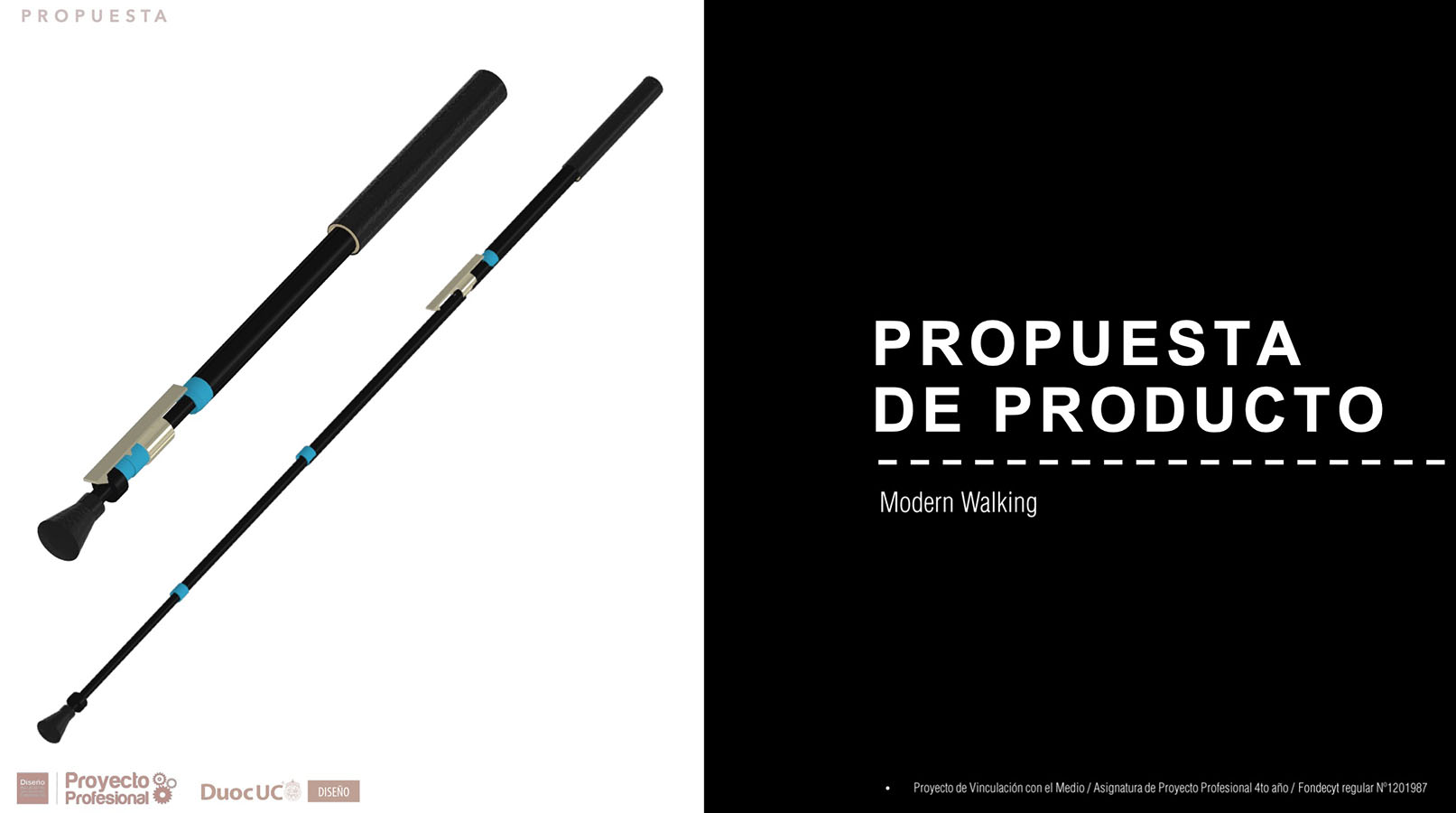 Nuevos Productos para Adultos Mayores en Chile (FONDECYT)