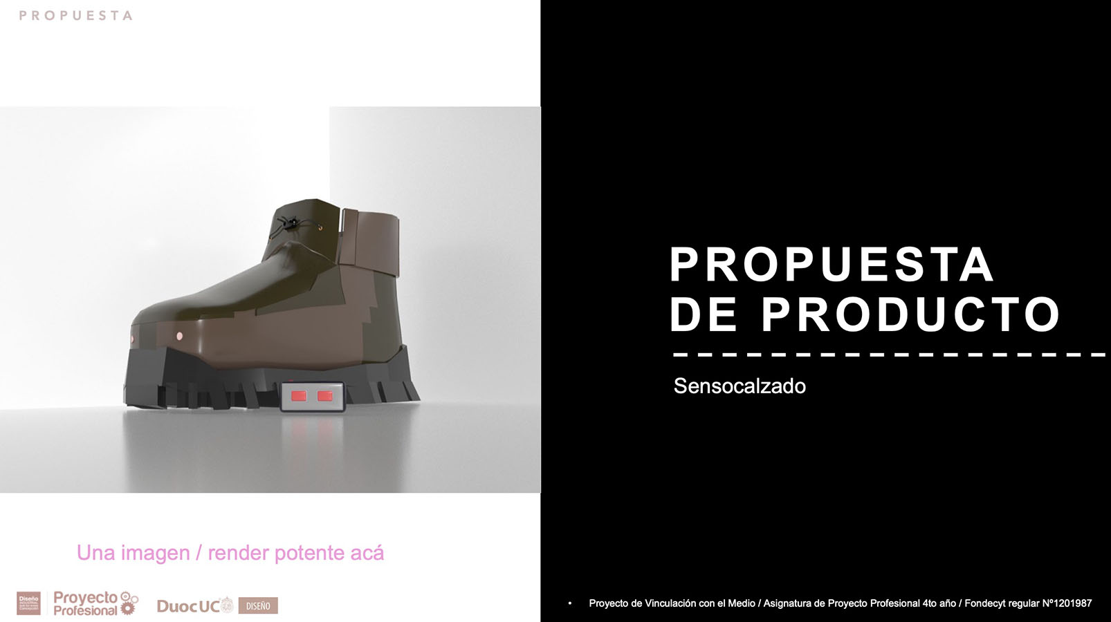 Nuevos Productos para Adultos Mayores en Chile (FONDECYT)