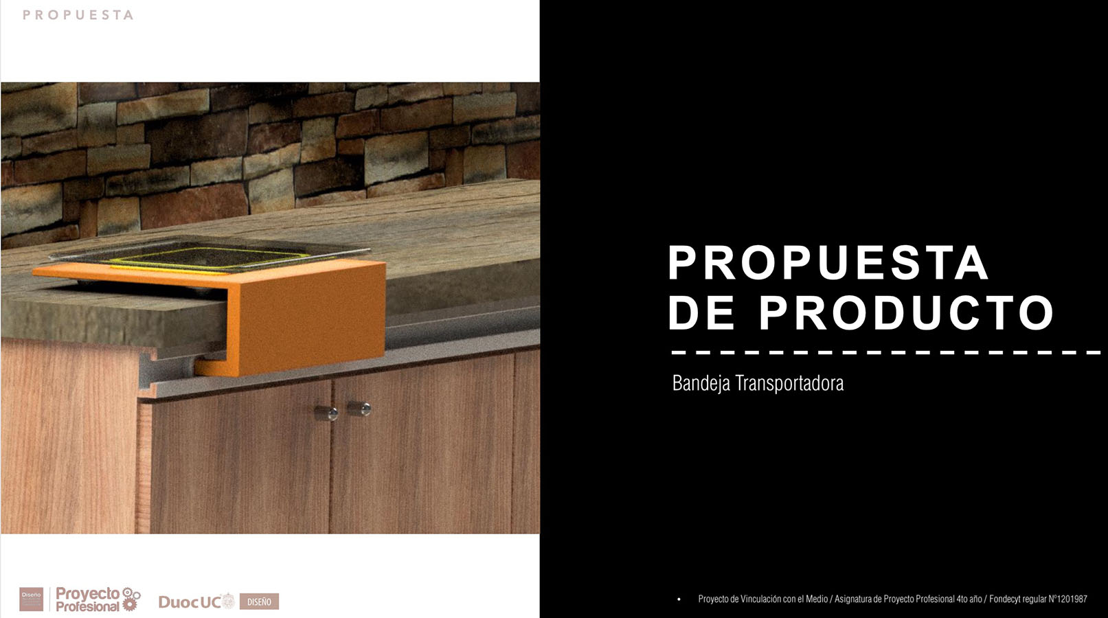 Nuevos Productos para Adultos Mayores en Chile (FONDECYT)