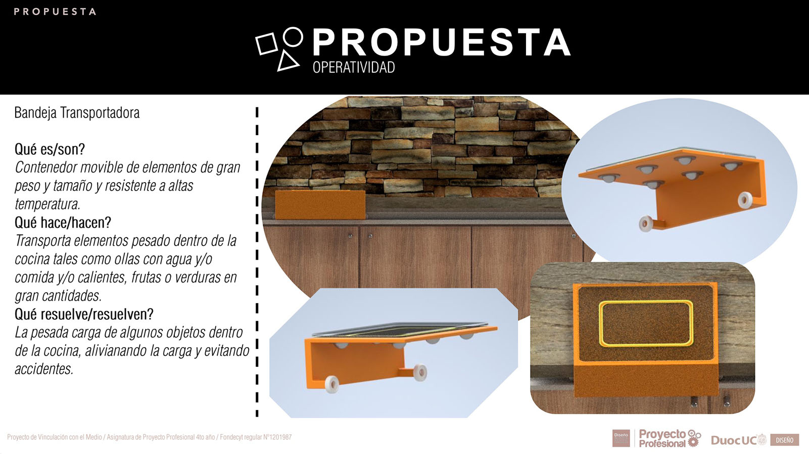 Nuevos Productos para Adultos Mayores en Chile (FONDECYT)