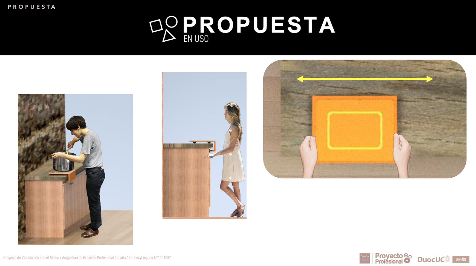 Nuevos Productos para Adultos Mayores en Chile (FONDECYT)