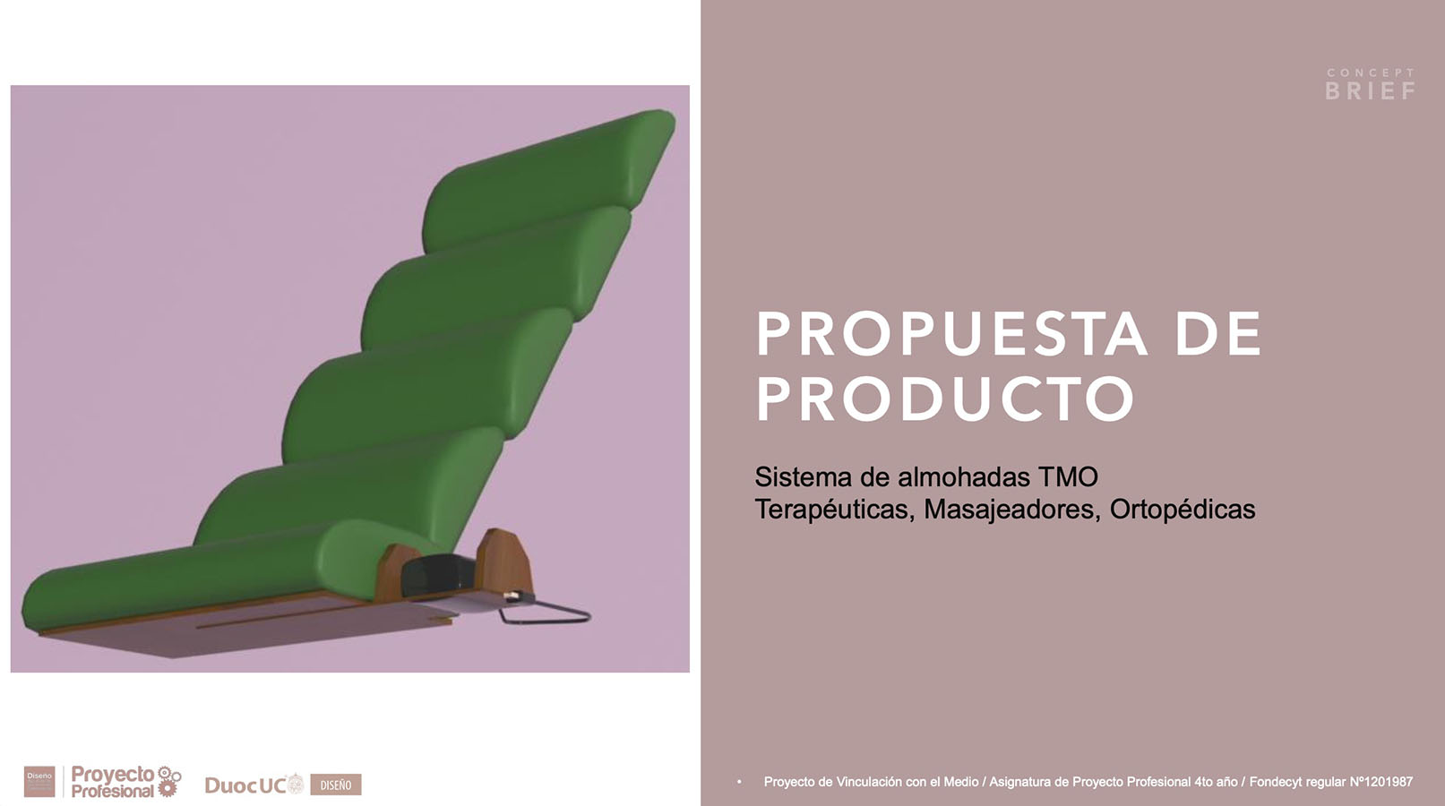 Nuevos Productos para Adultos Mayores en Chile (FONDECYT)