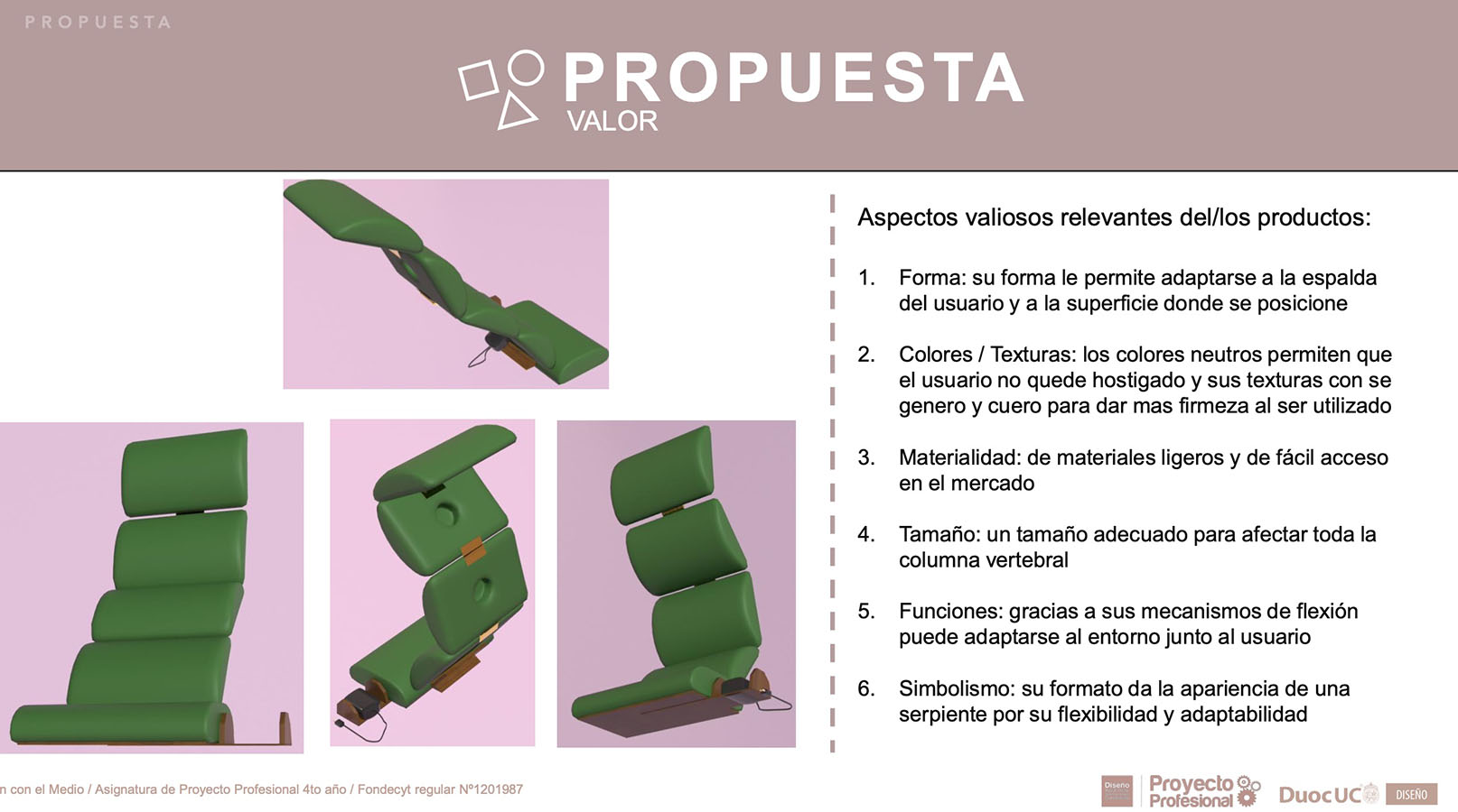 Nuevos Productos para Adultos Mayores en Chile (FONDECYT)