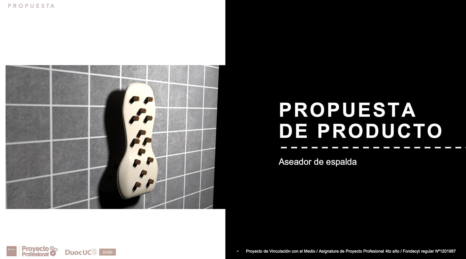 Nuevos Productos para Adultos Mayores en Chile (FONDECYT)