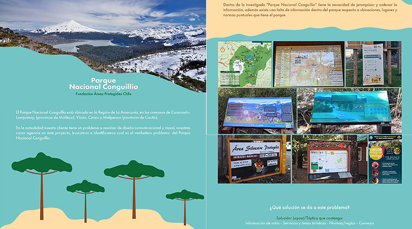 Sistemas de Información Fundación Áreas Protegidas