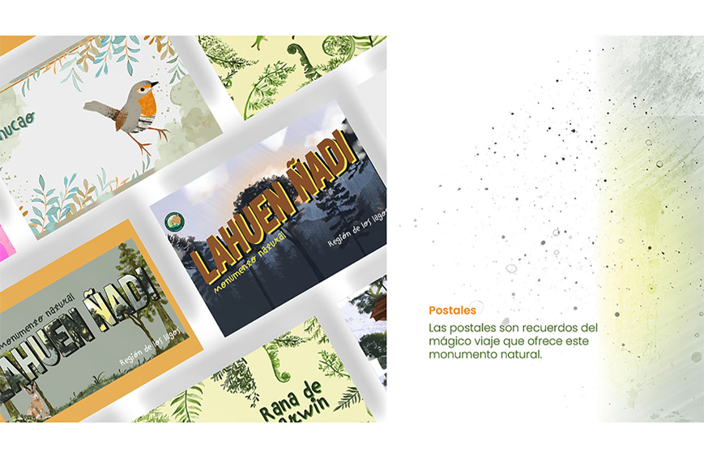 Sistemas de Información Fundación Áreas Protegidas