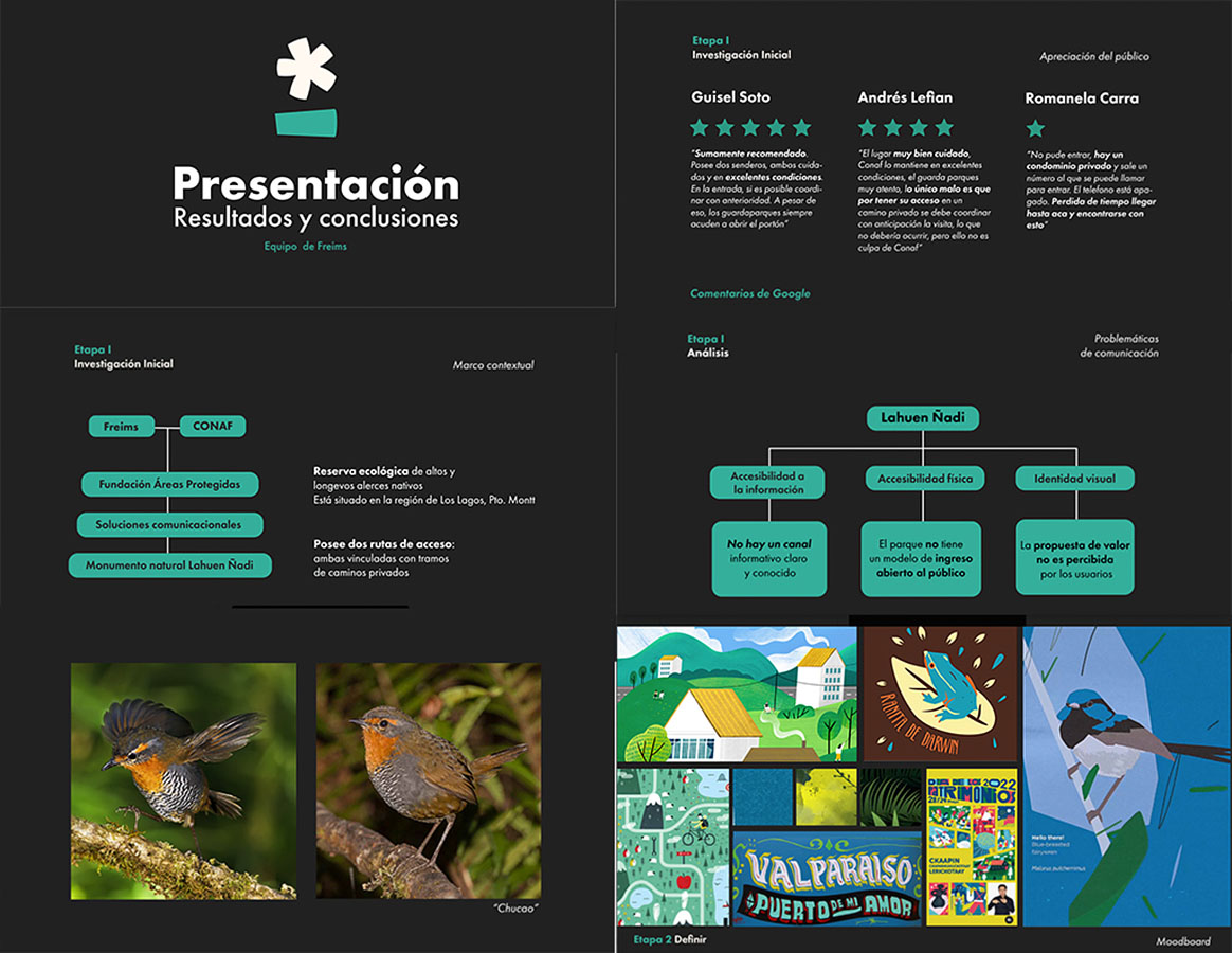 Sistemas de Información Fundación Áreas Protegidas