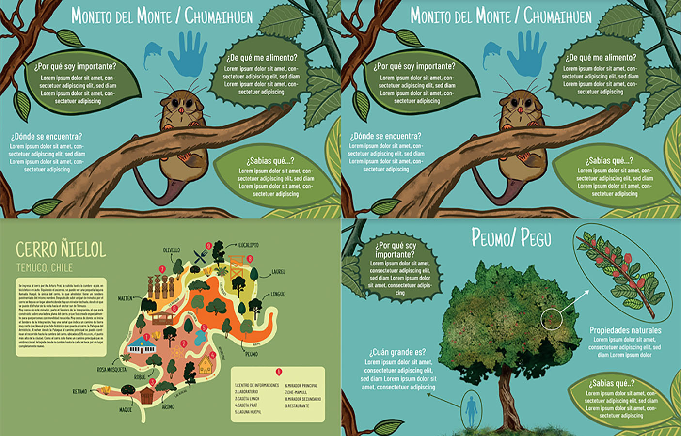 Sistemas de Información Fundación Áreas Protegidas